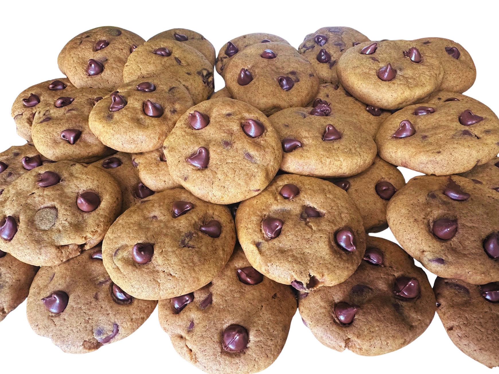 Pumpkin Cookies with Chocolate Chips (6 pack)