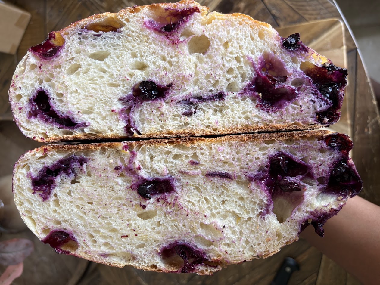 Fresh Blueberry Lemon Artisan Sourdough